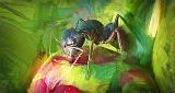 Ant On A Peony Bud Art_P1120860